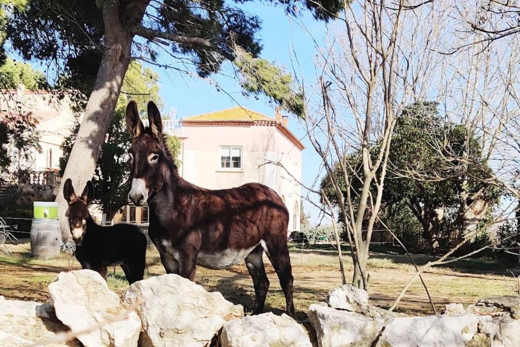 Au Coeur De La Nature Coursan Esterno foto