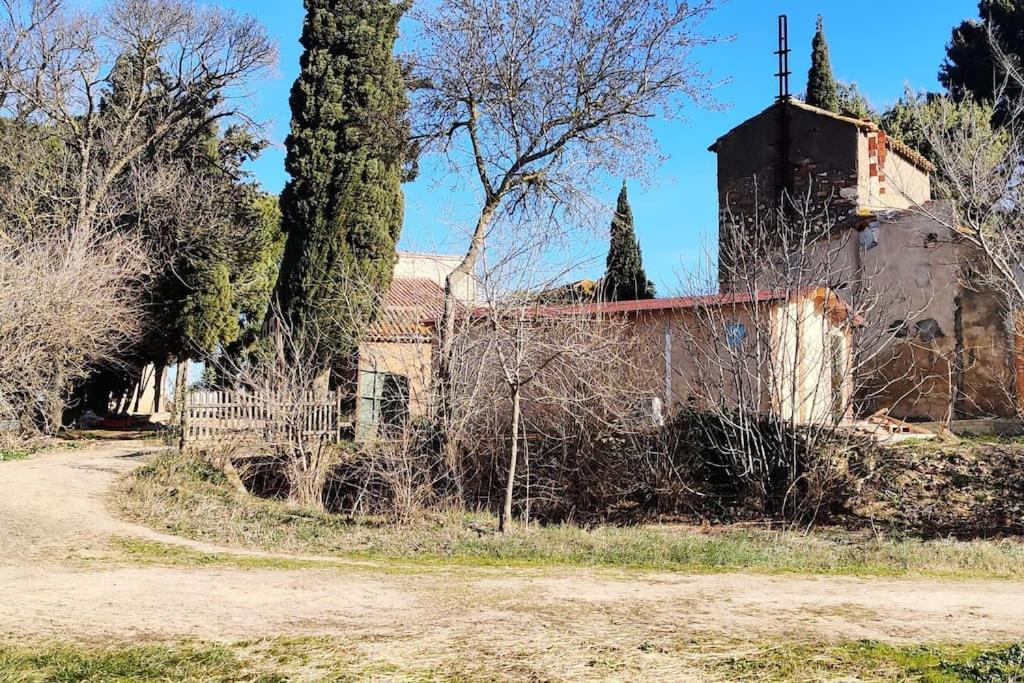 Au Coeur De La Nature Coursan Esterno foto
